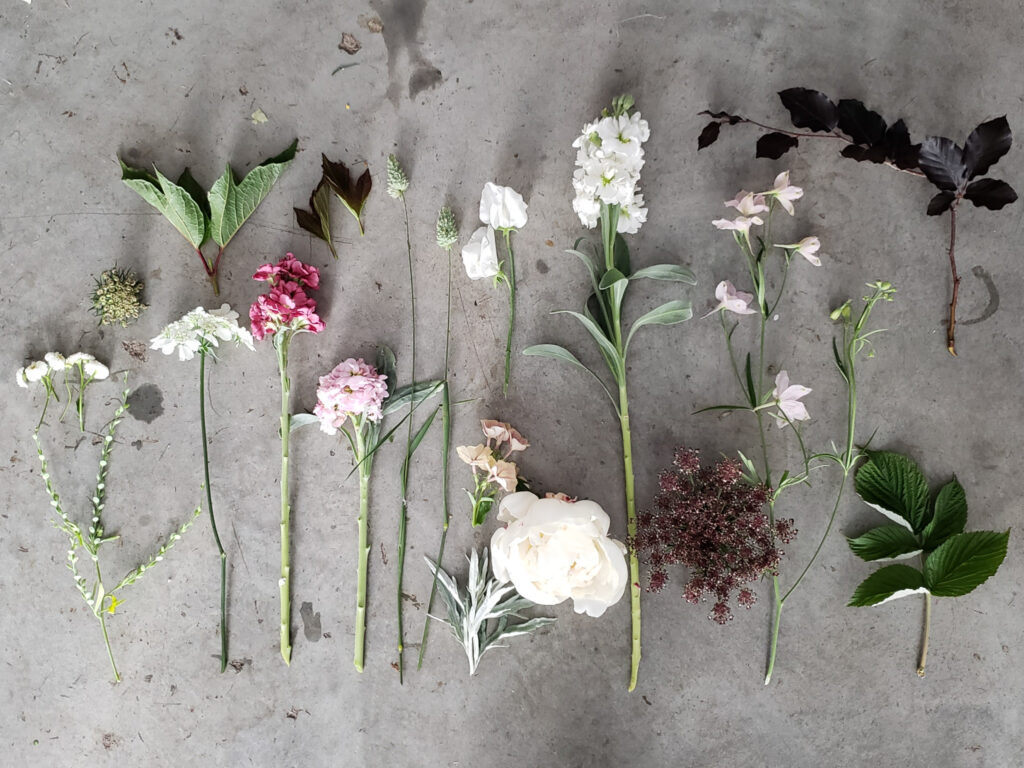 Single flowers laid out on a surface to show the individual flowers that are going into a wedding design.