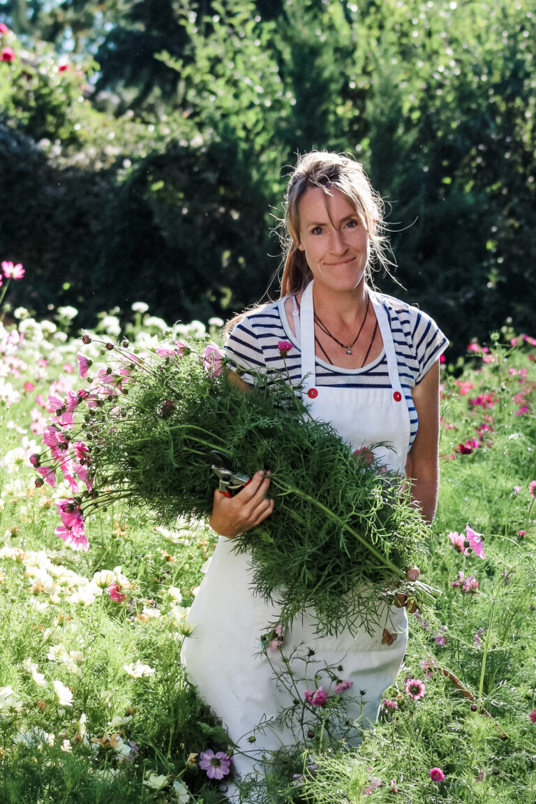 Home – BeeHaven Flower Farm