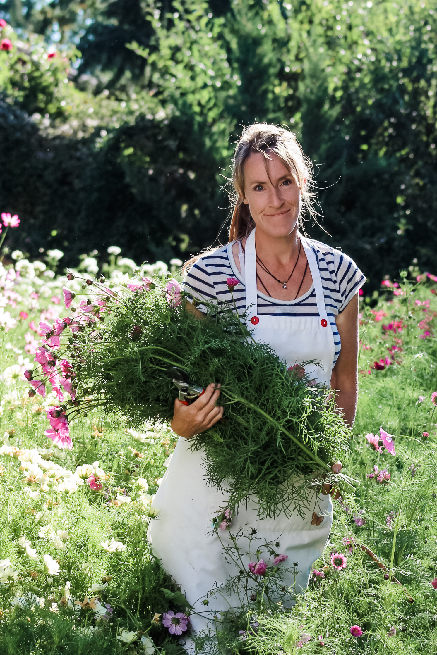 A flower farmer holding a bunch of cosmos while in her cut-and-come-again flower garden.