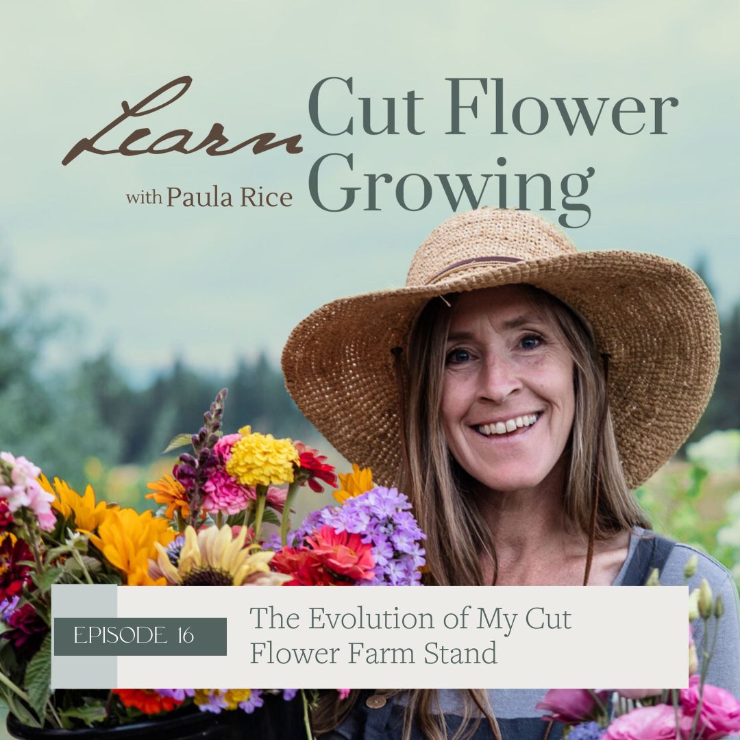 Ep 016: The Evolution of My Cut Flower Farm Stand